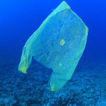 Abolita la plastica dalle isole Tremiti