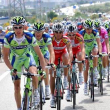 Il Giro d'Italia arriva in Puglia
