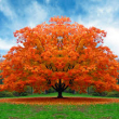 L'autunno e i suoi colori