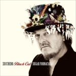 In arrivo il nuovo disco di Zucchero Fornaciari: 'Black cat'.