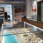 Nardò, inaugurato il Museo del Mare antico