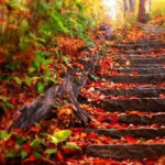 La bellezza dell’autunno