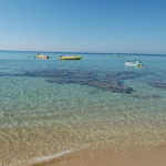 Bandiere blu per il mare pugliese