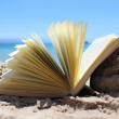 Il piacere estivo e non solo della lettura 